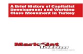 A Brief History of capitalist development in Turkey