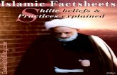 Islamic Factsheets - Shiite beliefs & Practices explained  - Islamic Mobility - XKP