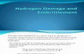 Hydrogen Damage and Embrittlement