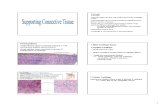 Chondrocytes Tissue