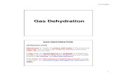 05-Gas Dehydration by GLYCOL 81