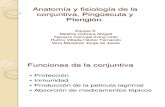 Anatom ¡a y fisiolog ¡a de la conjuntiva, Ping  ecula.pptx