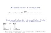 118785130 Lecture on Membrane Transport by Dr Mudassar Ali Roomi