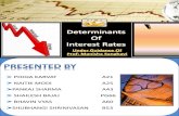 Determinants of Intrest Rates
