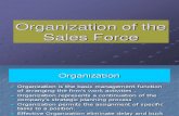 Organization of the Sales