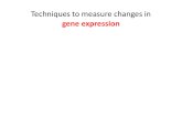 Exercícios - Techniques to measure changes in gene expression.pdf