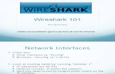 Wire Shark Section