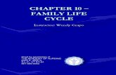 Chap 10 - Life Cycle