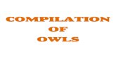 Owls Compilation