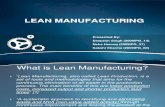 Lean Manufacturing an Overview