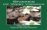 Snakes of West Virginia