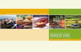 Agriculture Action Plan Web