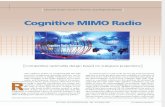Cognitive Mimo radio