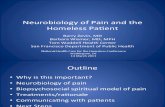 Neurobiology of Pain Zevin