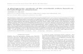 Shultz 2007 Phylogenetic analysis Arachnida.pdf