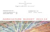 Agriculture Budget 2013-14