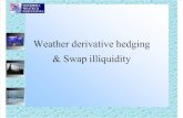 Derivatives Hedging Swaps