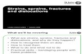 Strains, Sprains, Fractures and Dislocations