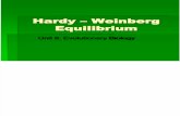 Hardy Weinberg Equilibrium- From Honors
