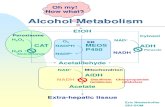 alcohol_metab p450.pdf