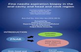 Fine Needle Aspiration Biopsy in The