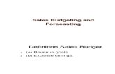 Sales Budgeting Forecasting