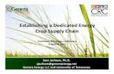 Establishing a dedicated energy crop supply chain