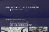 Nervous Tissue- Poone