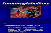 Expo Inmunoglobulinas