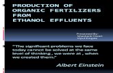 Production of Organic Fertilizer From an Ethanol Effluents