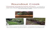 Creek Cleaning Project