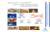 New Handbook CASO_2013 Rev2 (1)