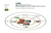 Wildland Fire   Management Efficiencies  Implementation Guidelines