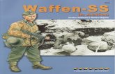 [Concord] [Warrior Series 6528] Waffen-SS in Action (2009)