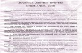 Juvenile Justice System Ordinance 2000.pdf