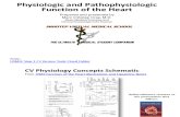Physiologic and Pathophysiologic Function of the Heart: Cardiac Cycle Graphs, Curves, Loops and CO Calculations