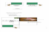 McMullan-Beekeeping Basics.pdf