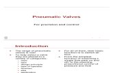 Presentation for Pneumatic Valves