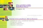 The Child with Cardiovascular Dysfunction.ppt