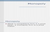 Ch8 Monopoly