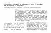 Effects of crystallinity of goethite. II. Rates of sorption and desorption of phosphate.pdf