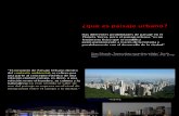 Paisaje Urbano 2013-II