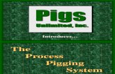 Process Pigging System