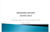 Morning Report 23 Meil 2013