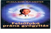 Choa Kok Sui Mester - Felsöfokú prána gyógyítás