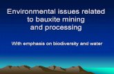 Environmental Problems Related to Bauxite Mining and Processing-Paul Ouboter