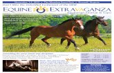 Equine Extravaganza 2013 Show Flyer