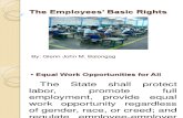 Employees' Basic rights
