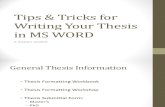 MSWord Thesis 091