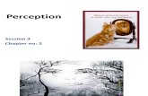 2nd Chapter Perception By Soloman